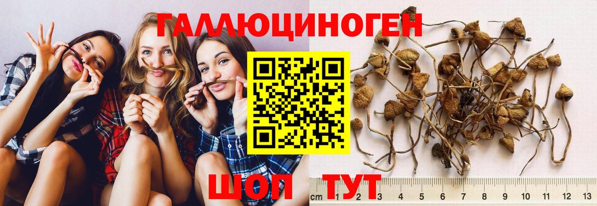 Галлюциногенные грибы ЛСД Кулебаки