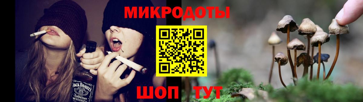 Галлюциногенные грибы Cubensis  Вход с VPN  Кулебаки  Галлюциногенные грибы мицелий 
